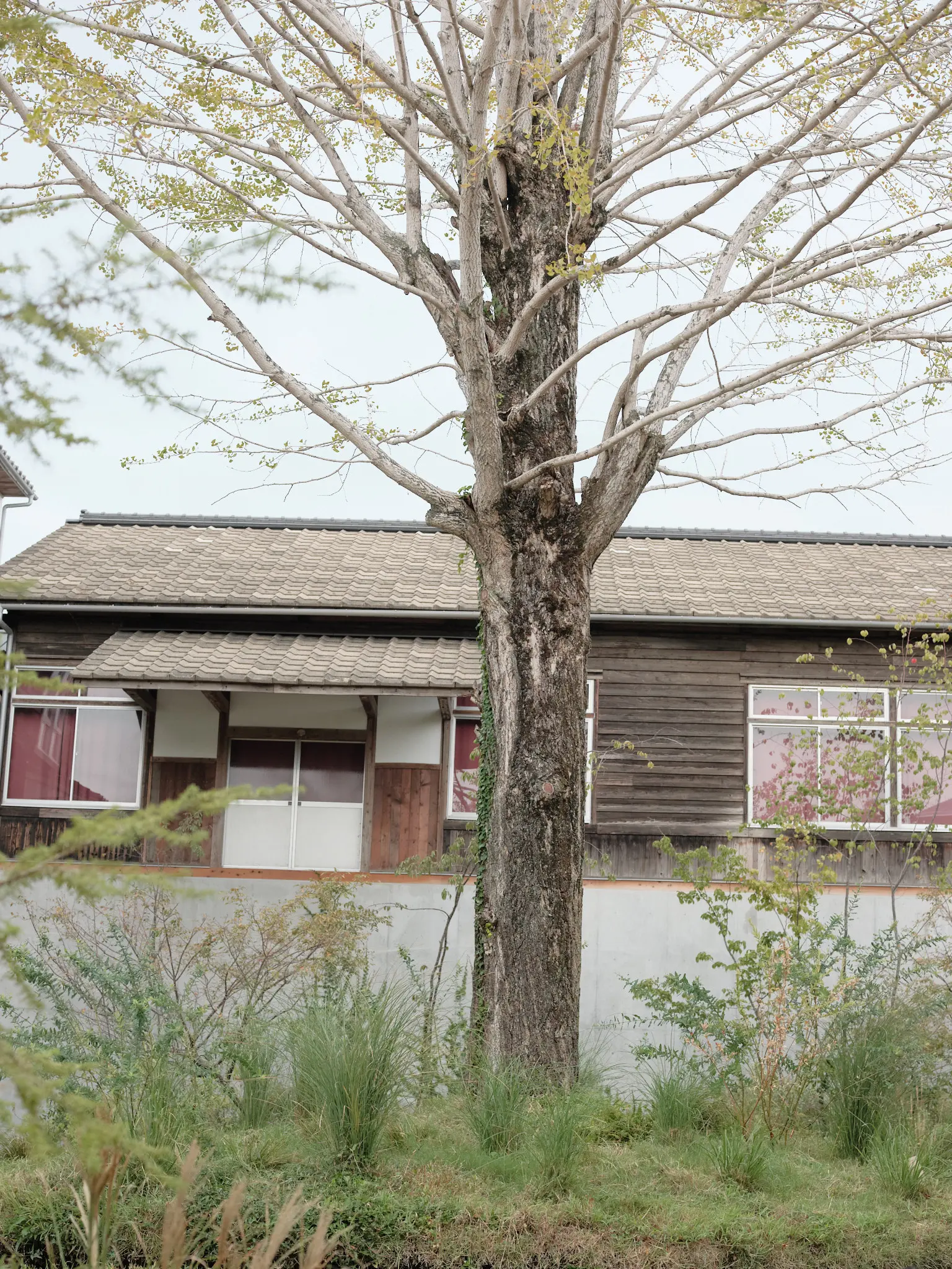 Dialogue Theater 大阪関西万博