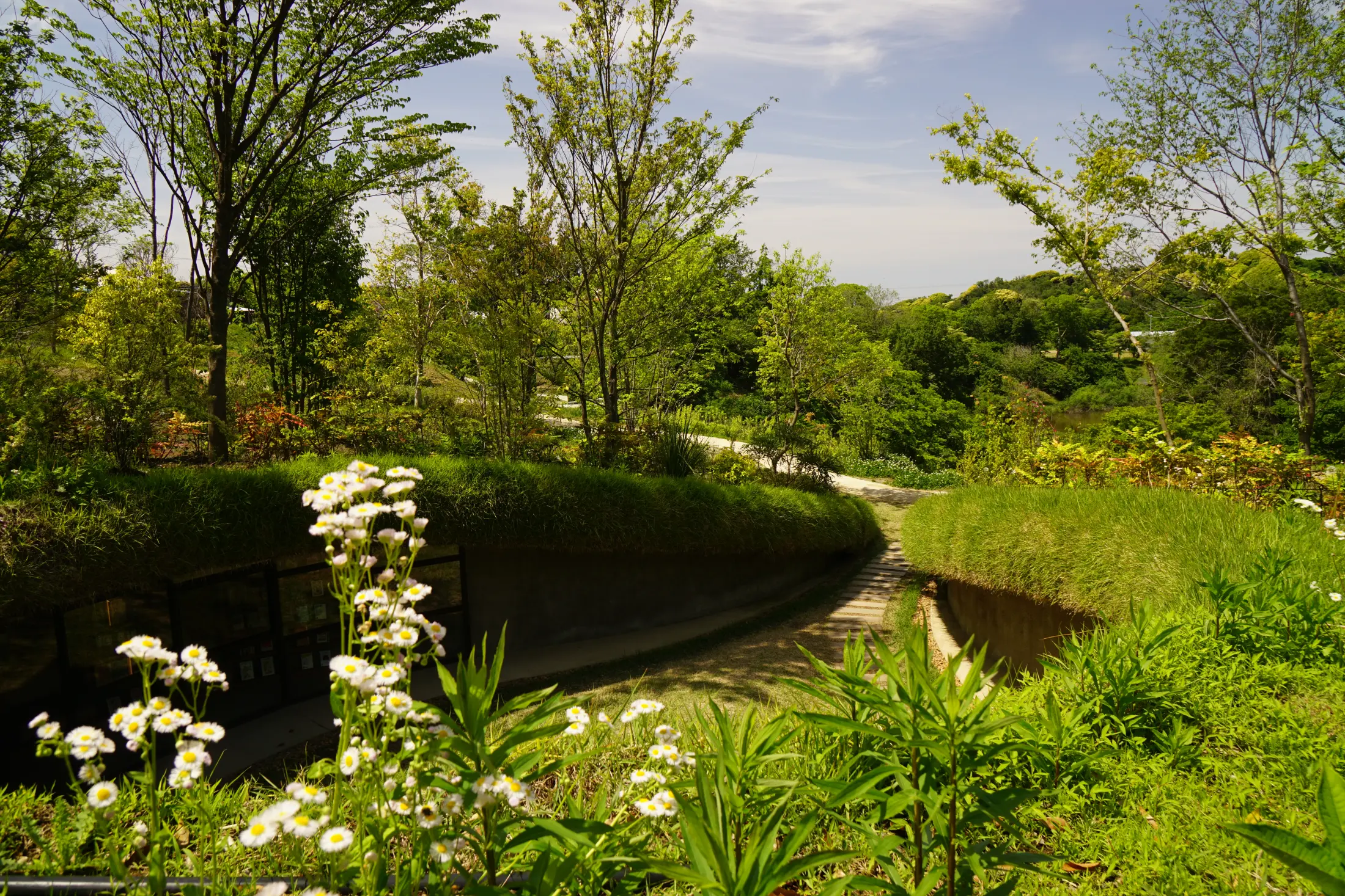 地中図書館 /kurkku fields