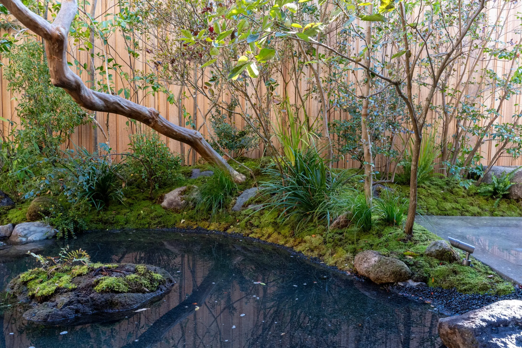 Harmony Garden