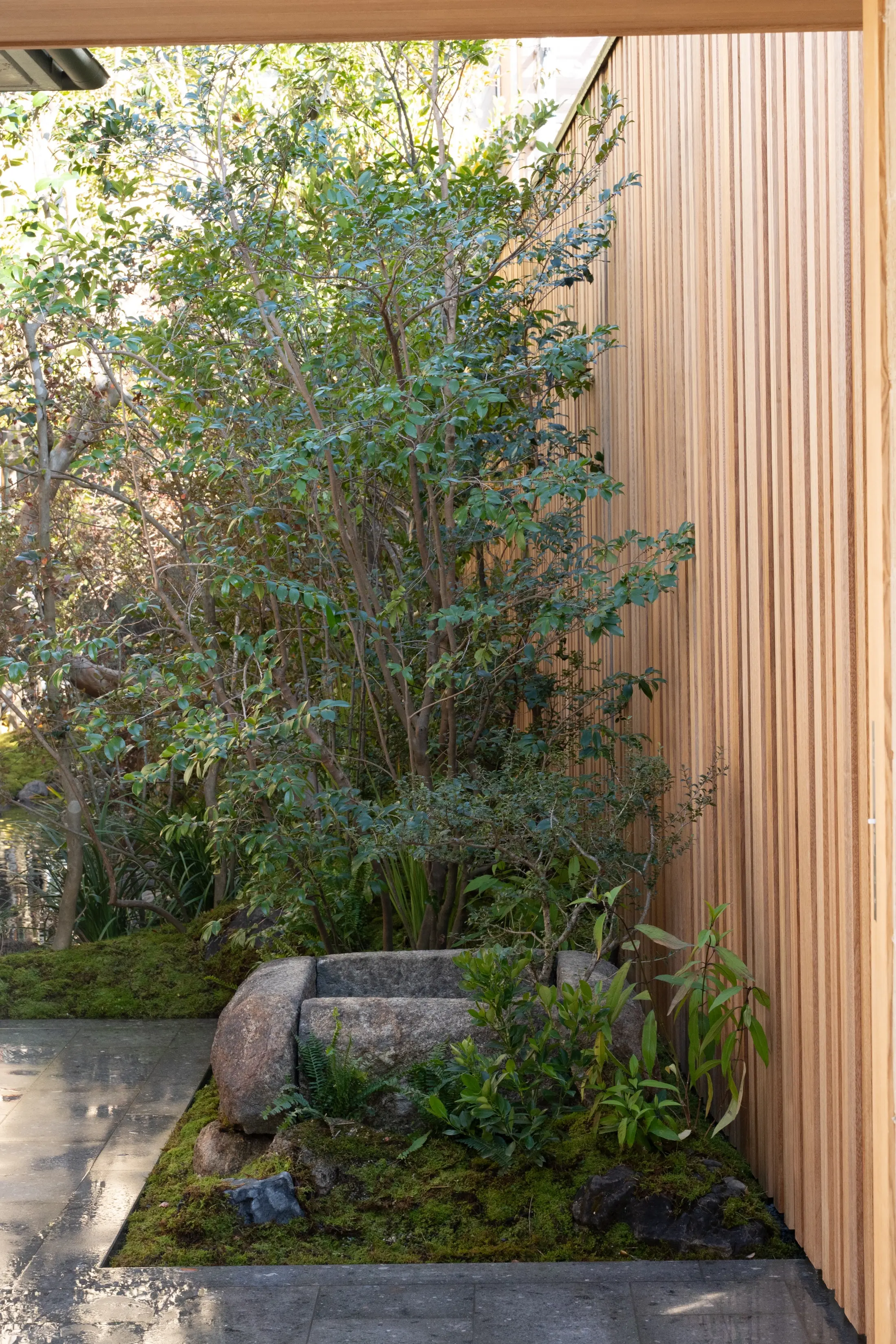 Harmony Garden