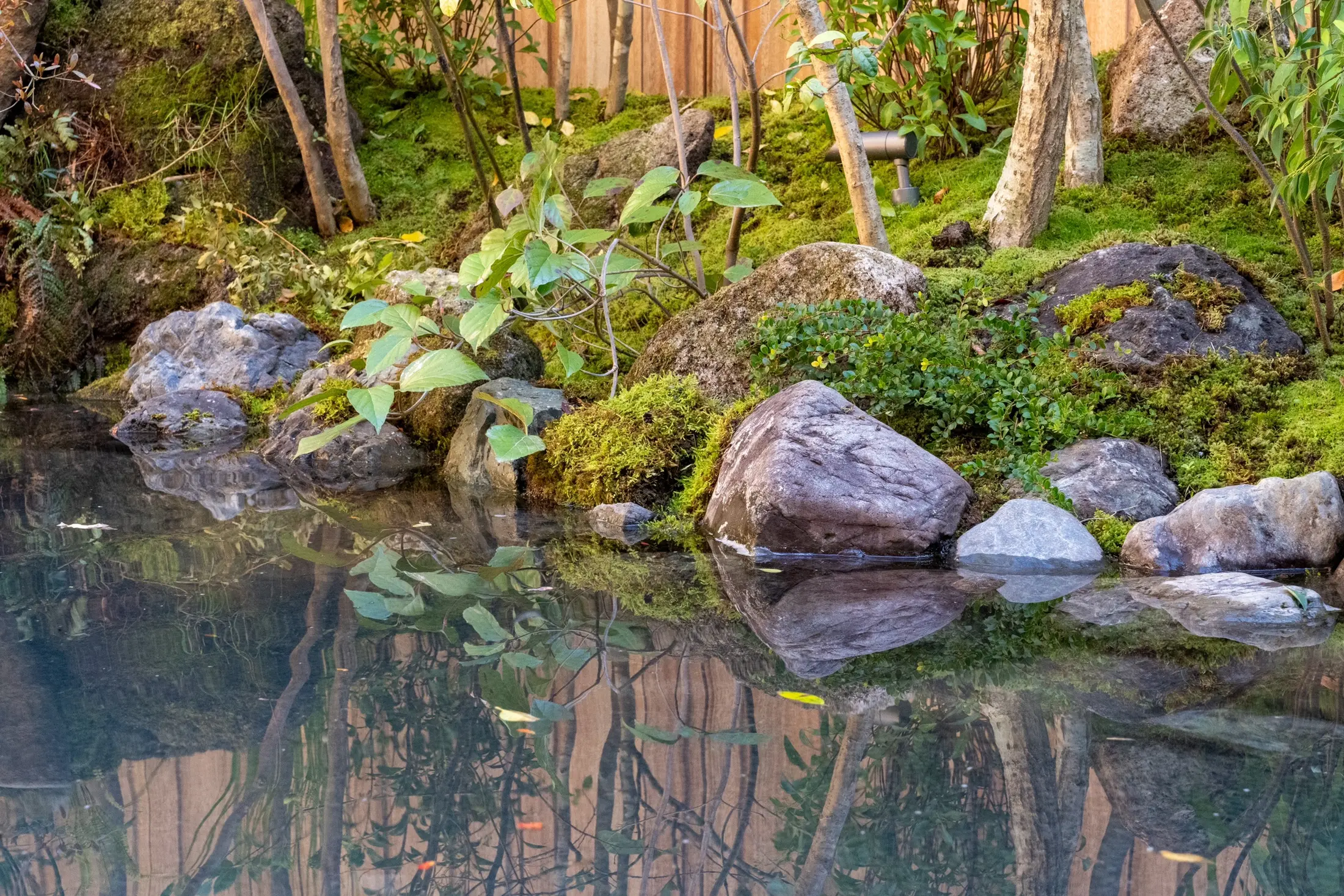 Harmony Garden