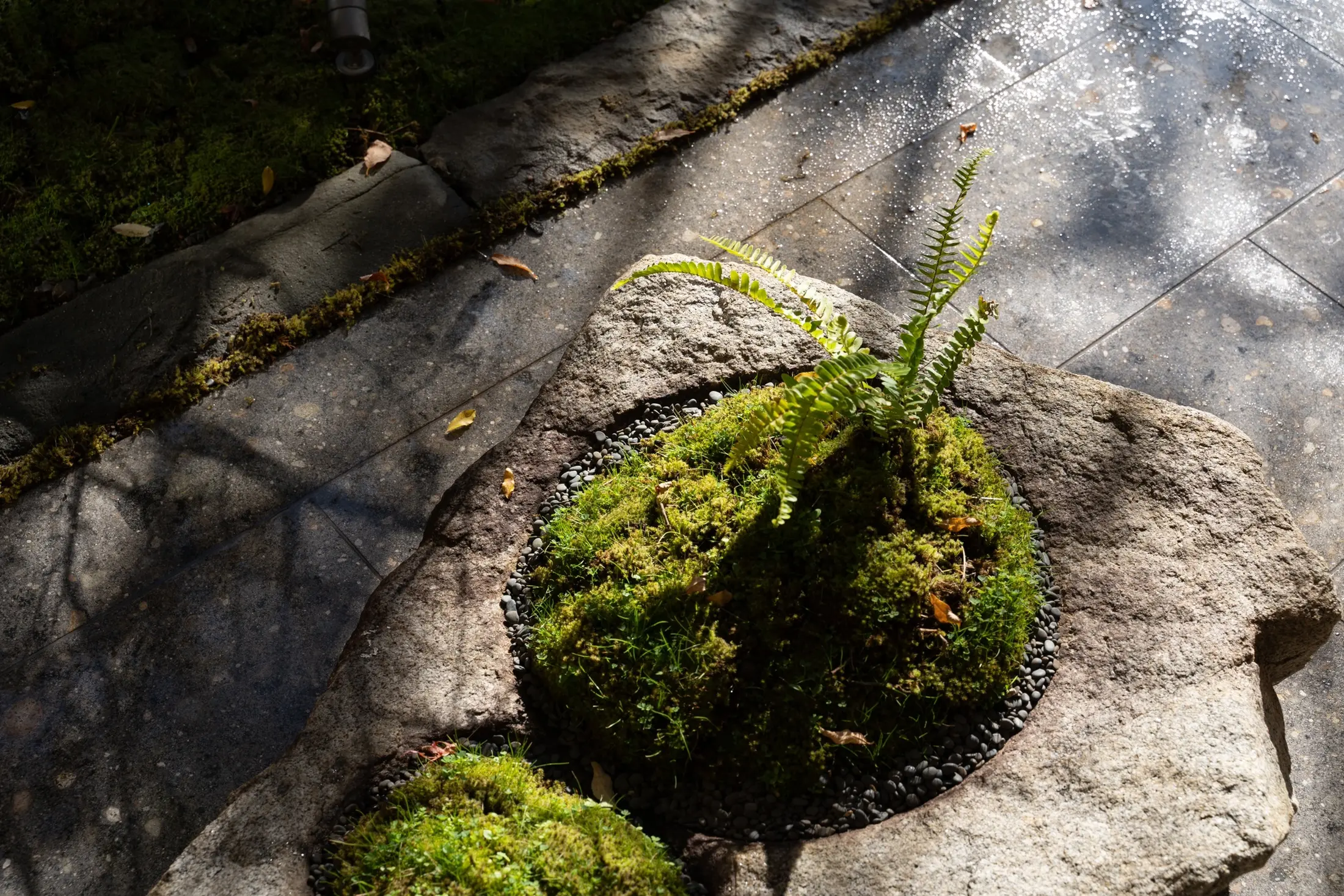 Harmony Garden