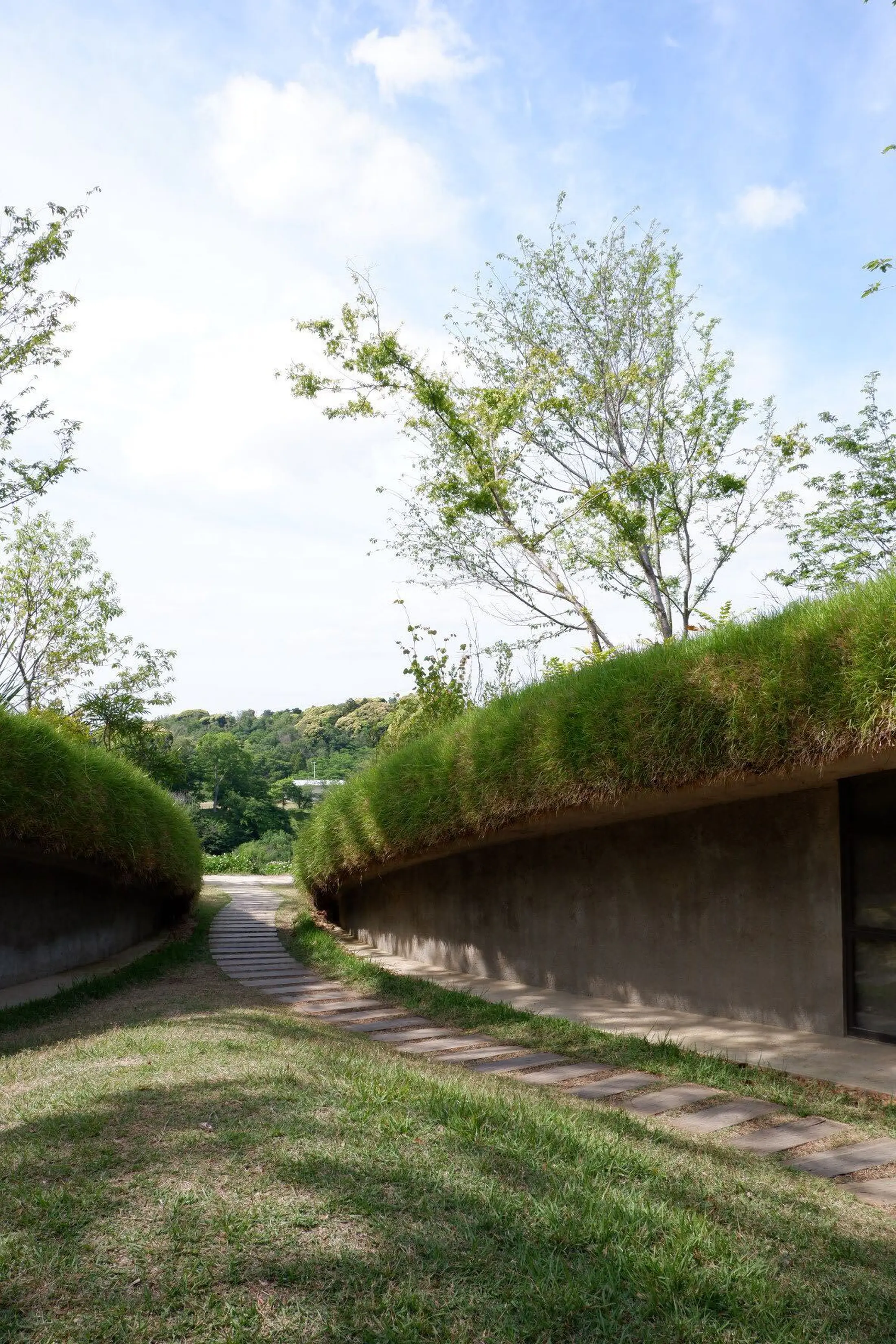 地中図書館 /kurkku fields