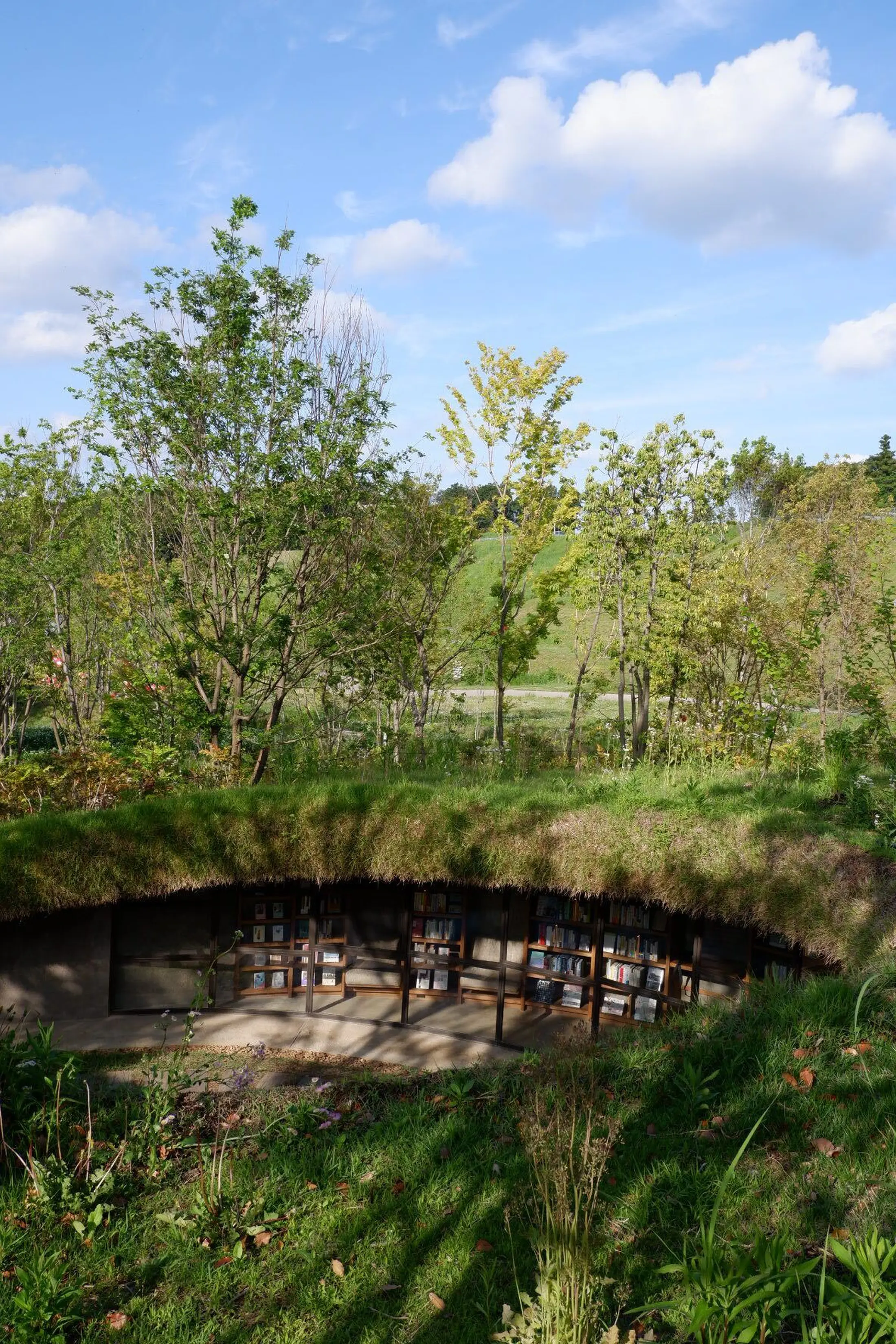 地中図書館 /kurkku fields