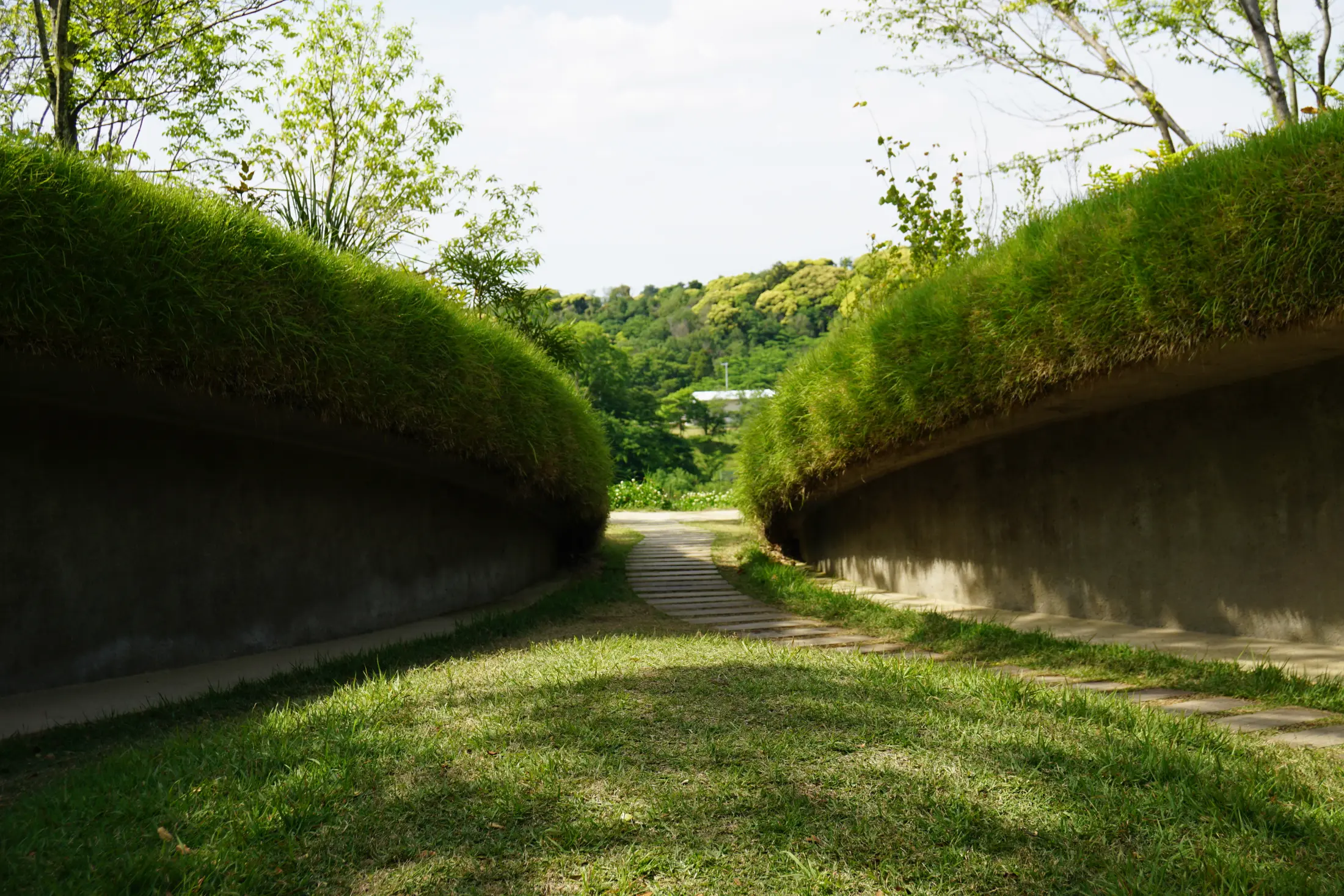 地中図書館 /kurkku fields