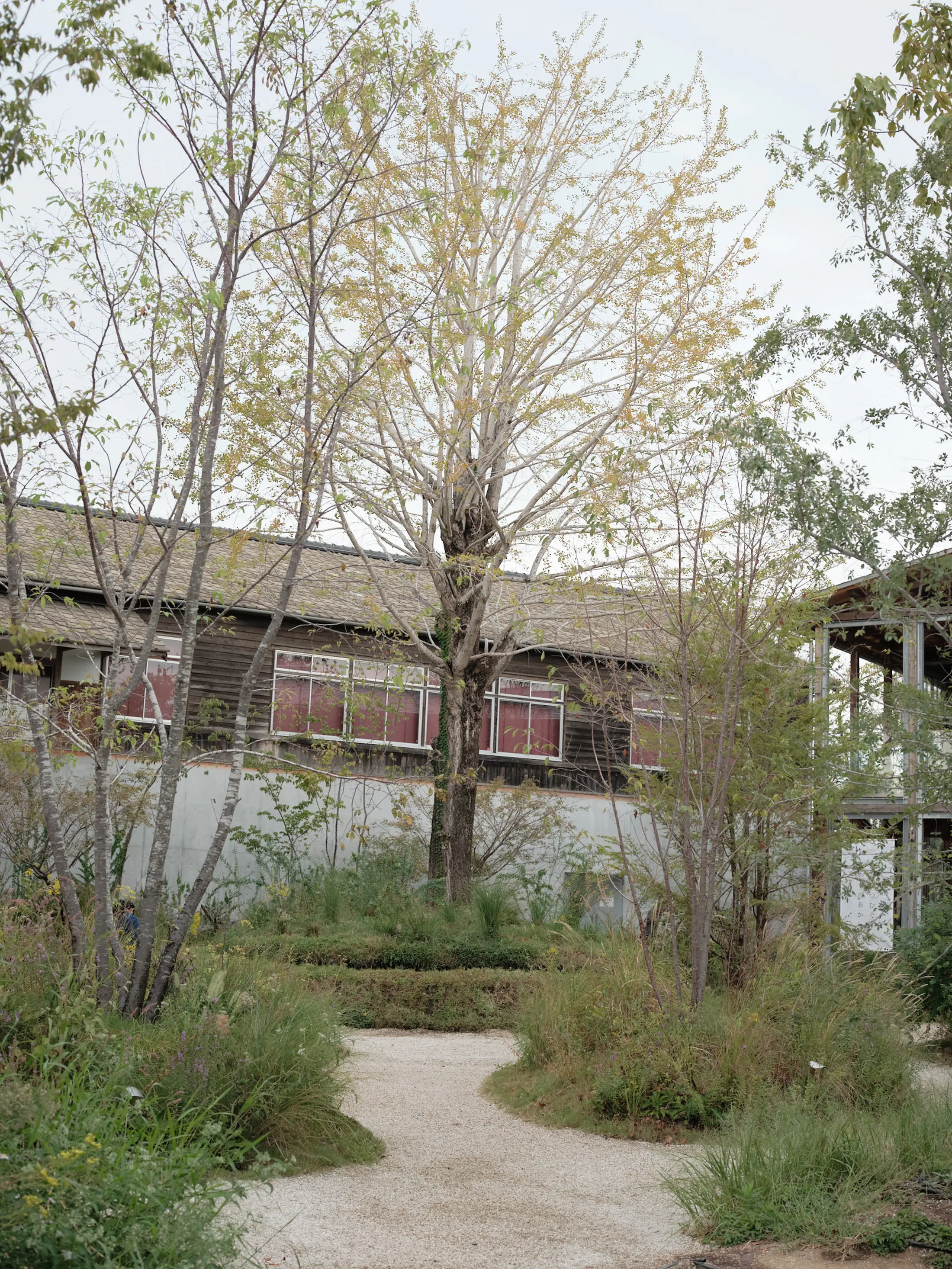 Dialogue Theater 大阪関西万博