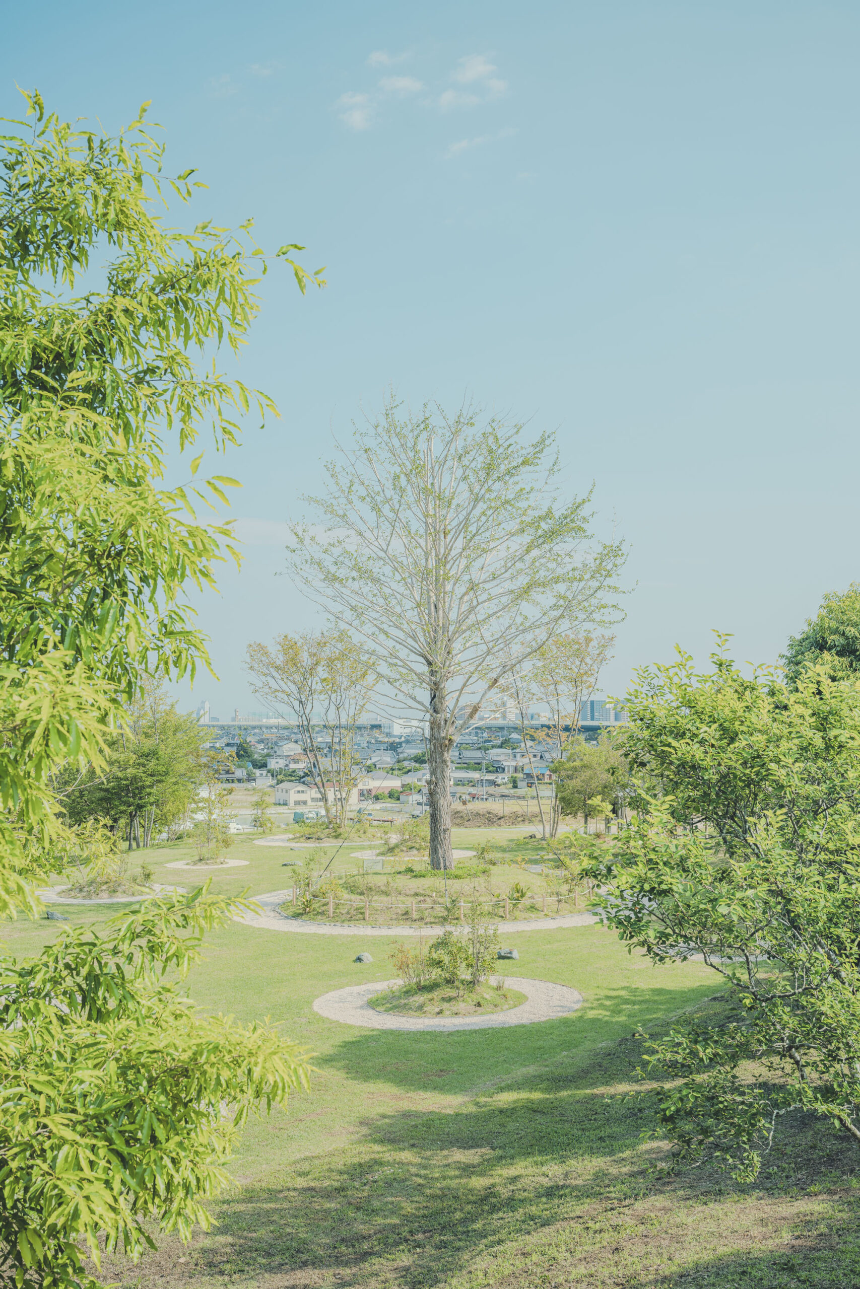 ATIVE 泉佐野丘陵緑地公園 Dialogue Theater – いのちのあかし –