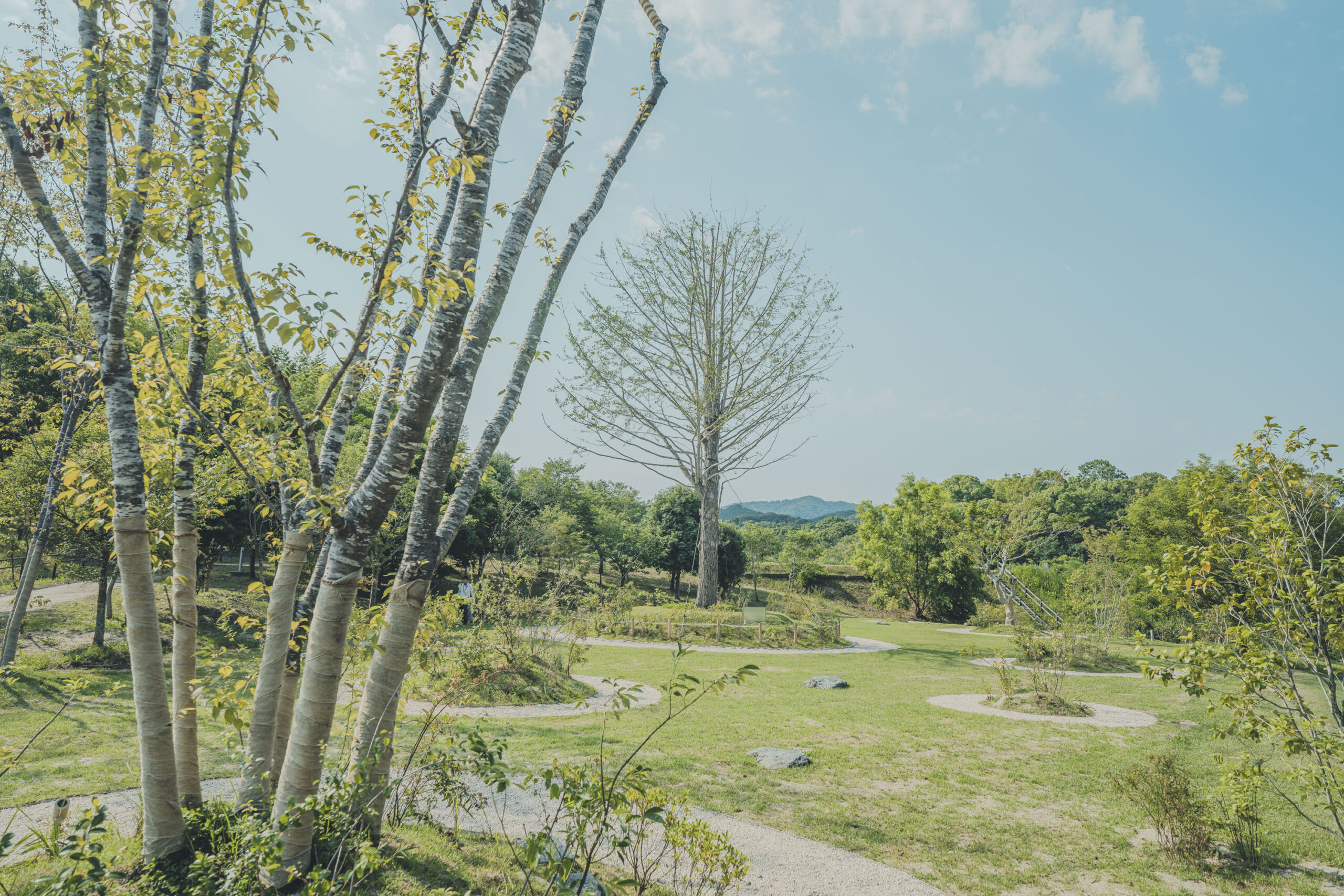 ATIVE 泉佐野丘陵緑地公園 Dialogue Theater – いのちのあかし –