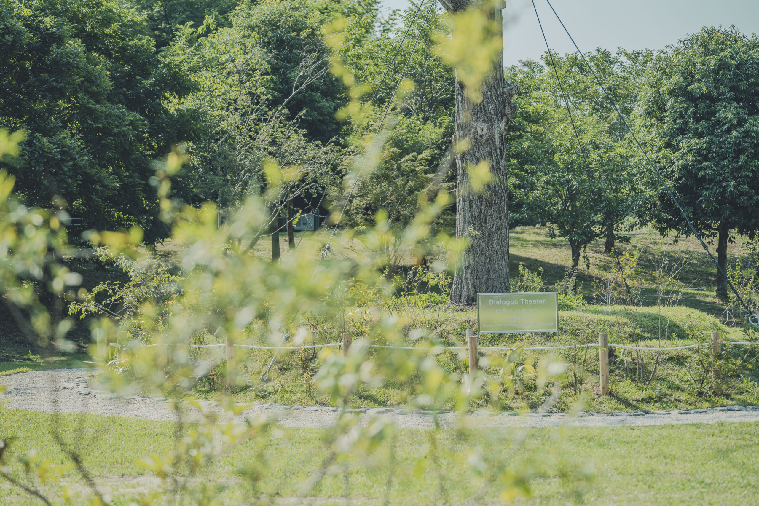 ATIVE 泉佐野丘陵緑地公園 Dialogue Theater – いのちのあかし –