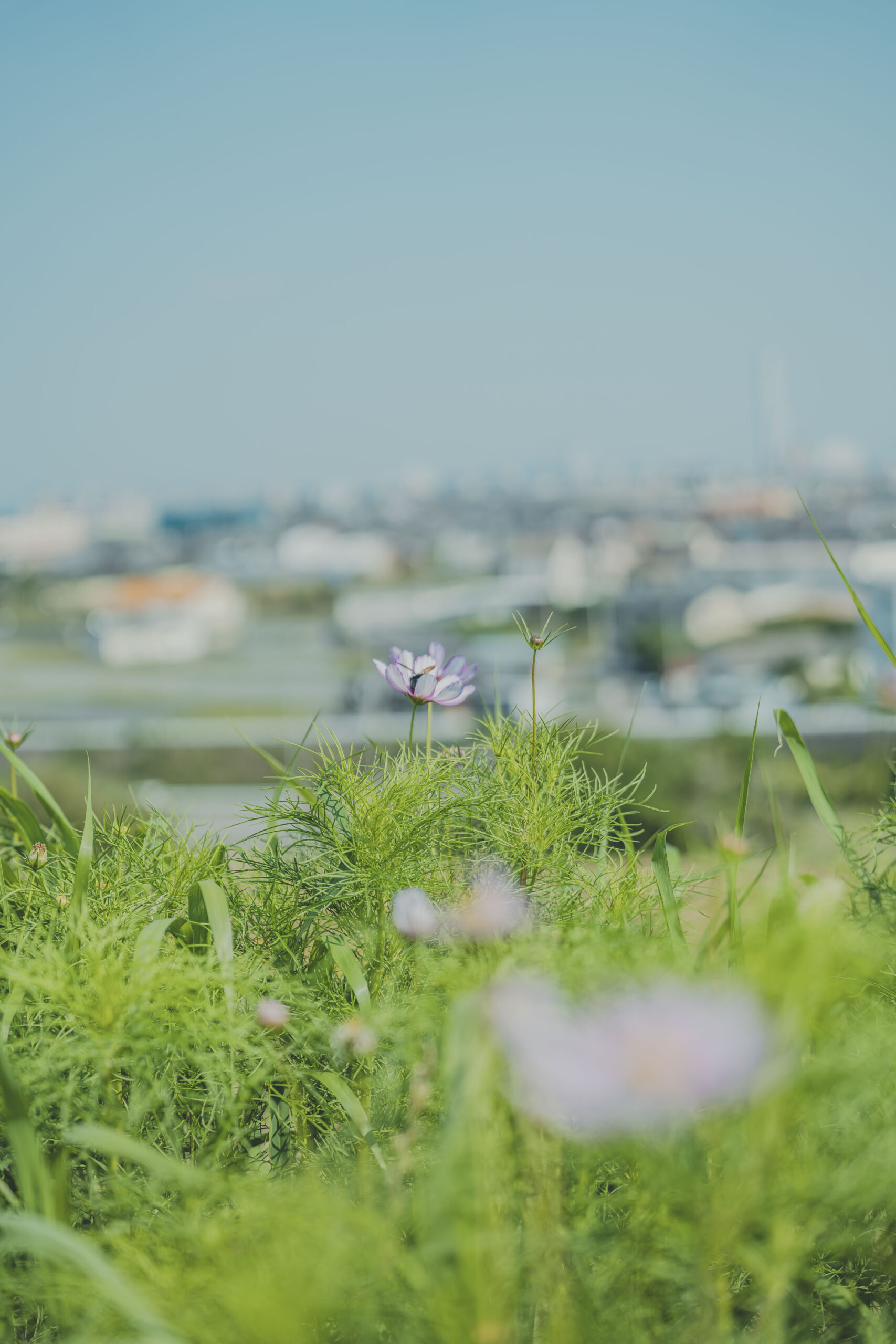 ATIVE 泉佐野丘陵緑地公園 Dialogue Theater – いのちのあかし –